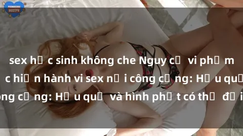 sex học sinh không che Nguy cơ vi phạm pháp luật khi thực hiện hành vi sex nơi công cộng: Hậu quả và hình phạt có thể đối mặt